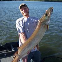 Northern Wisconsin 49" Muskie