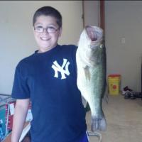 Big Bass