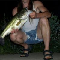 Kansas Night Bass