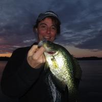 Black Crappie on Gulp Alive