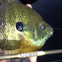 The Perfect Pan Fish Rod