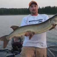 43" Northern Wisconsin Muskie