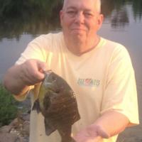 Big Bluegill