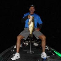 Saguaro like, AZ Bass