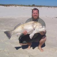 Black Drum aka Big Ugly