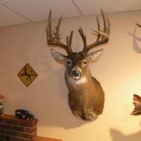 Hooiser Buck Master