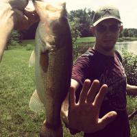 rippen lips
