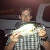 Crappie