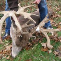 JP Buck dbl drop tine 4