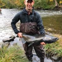 NY Coho Salmon