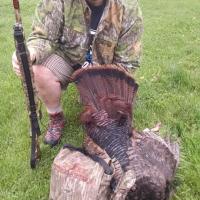 Spring Turkey