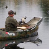Picking up The Decoys