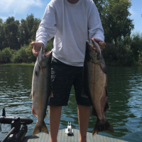 Feather river salmon