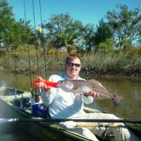 Nice Red Fish