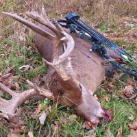 2014 Bow Season Buck