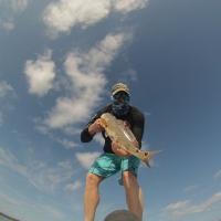 Super Shrimp Really Works