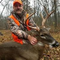 Nice Buck