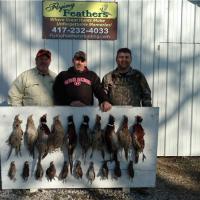 Bird Hunting