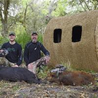 Bow Hunting Wild Hogs