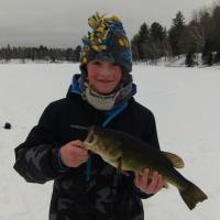 Iced Large Mouth Bass