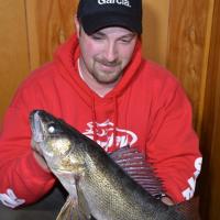Rattle Wheel Walleye