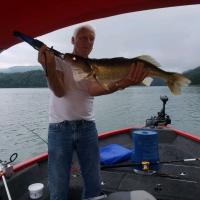 29 inch walleye