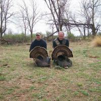 Spring Turkey in Arkansas
