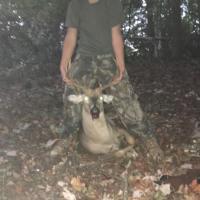 Deer Season Harvest