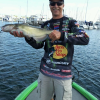 Catfish on a Drop Shot
