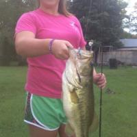 Nice largemouth bass
