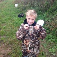 1 Little Bird hunter