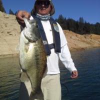 Spotted Bass