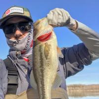 1st 2019 Bass