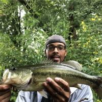River Bass