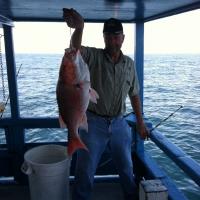 Steves red snapper