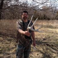 Nice Kansas Whitetail Shed