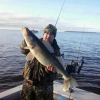Lake Of The Woods Fall Walleye