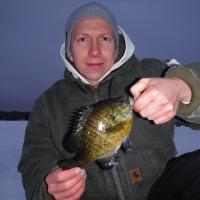 10" Iced Bluegill