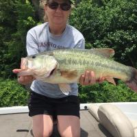 Nice Largemouth - Table Rock Lake