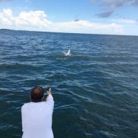 Sportfishing