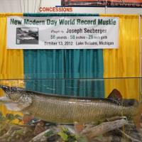 New Modern Day Wold Record Muskie