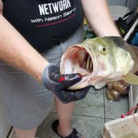 This is the BIG BOY!!