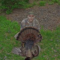 Spring Gobbler