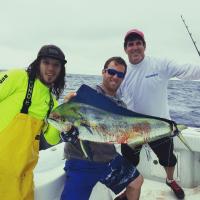 Saltwater Dolphinfish