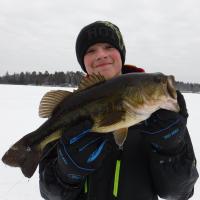 Ice'd Bass