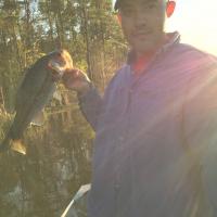 Bass Fishing in 2016