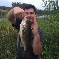 Bass Fishing Largemouth