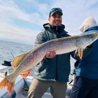 Lake Of The Woods Pike