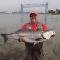 35 lbs Striper Bass