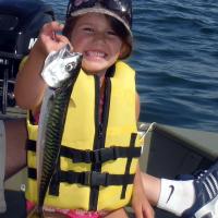 Mya's Mackerel